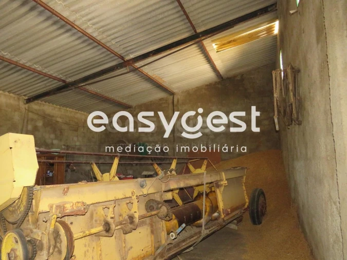 Armazém para Venda em São João de Negrilhos Foto 17