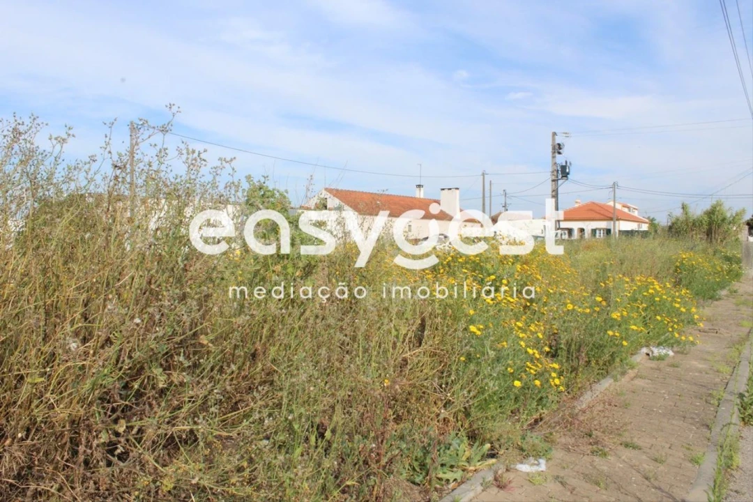 Terreno para Venda em Fazendas de Almeirim Foto 1
