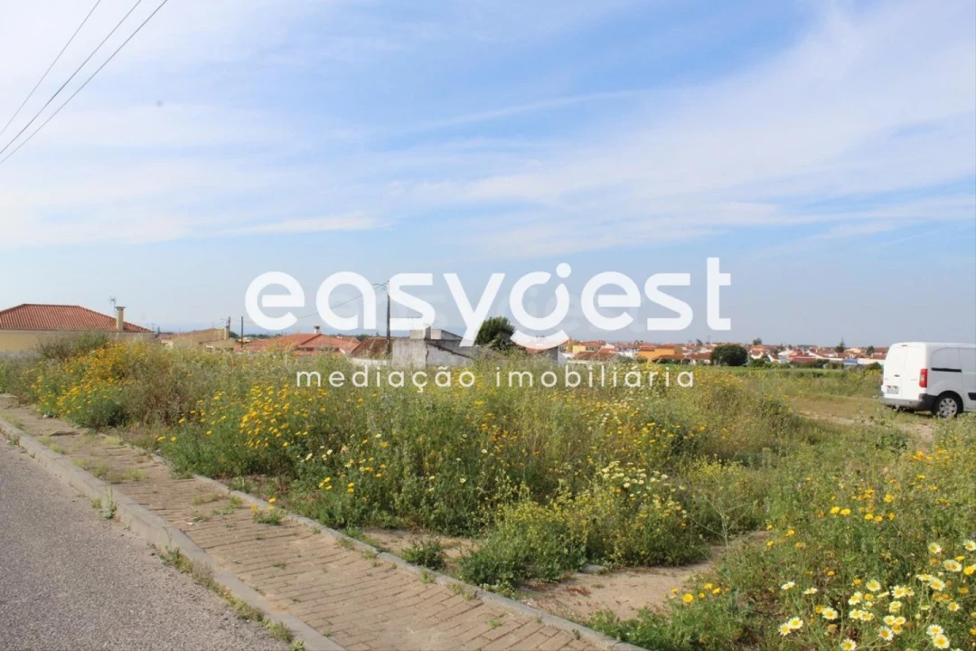 Terreno para Venda em Fazendas de Almeirim Foto 3