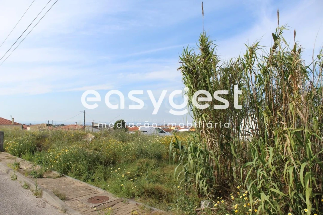 Terreno para Venda em Fazendas de Almeirim Foto 4