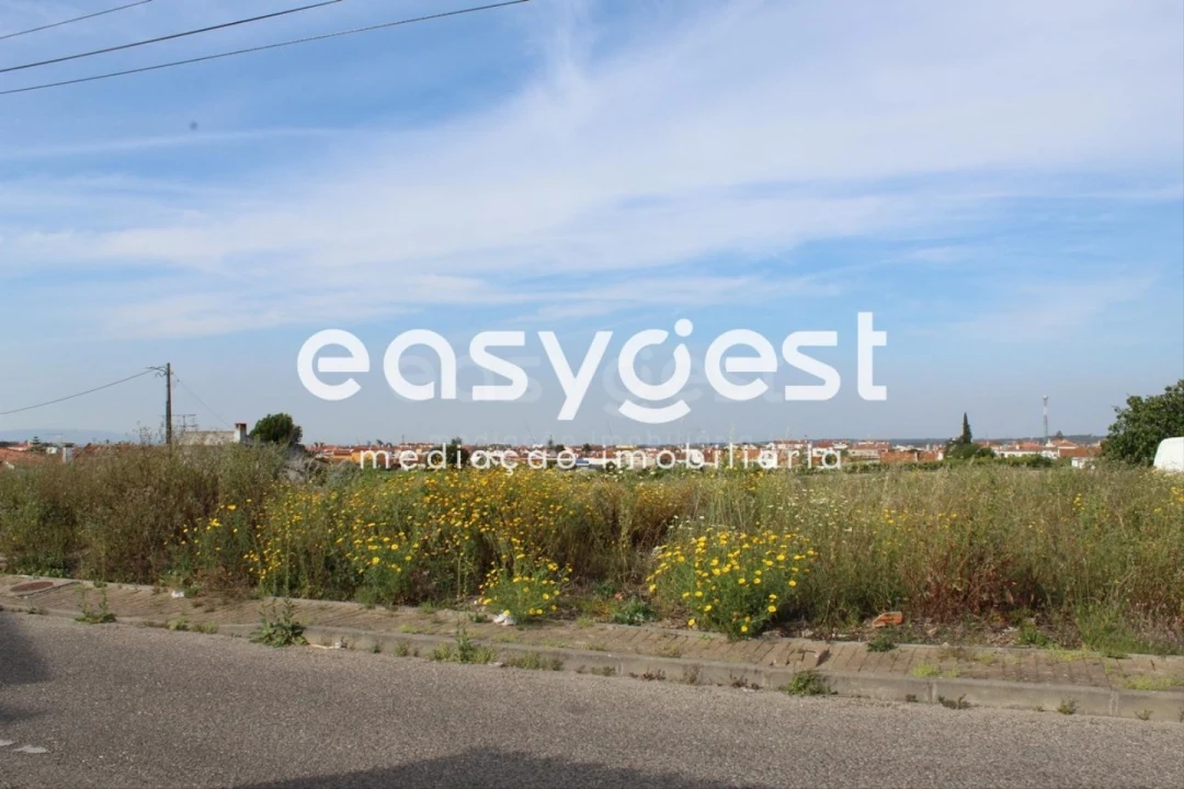 Terreno para Venda em Fazendas de Almeirim Foto 8