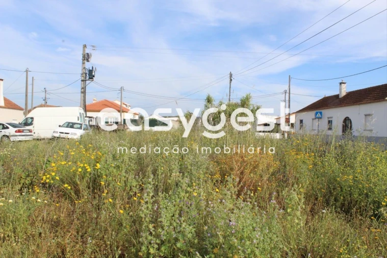 Terreno para Venda em Fazendas de Almeirim Foto 9