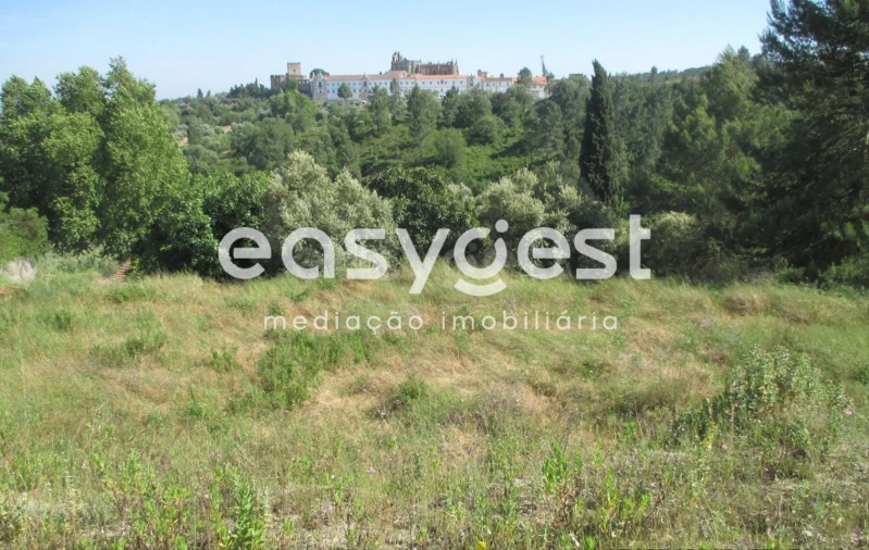 Terreno para Venda em São João Baptista e Santa Maria dos Olivais Foto 4