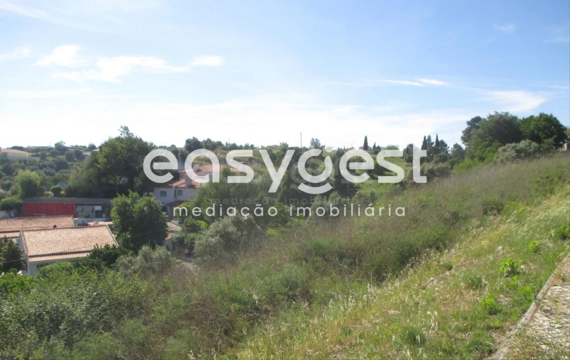 Terreno para Venda em São João Baptista e Santa Maria dos Olivais Foto 2
