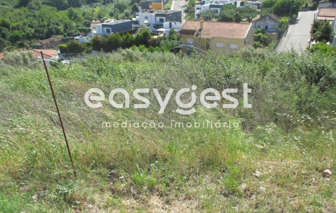 Terreno para Venda em São João Baptista e Santa Maria dos Olivais Foto 3