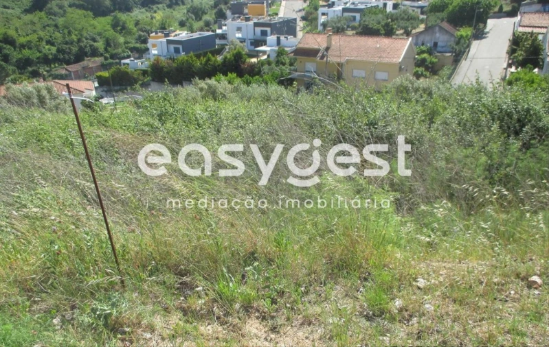 Terreno para Venda em São João Baptista e Santa Maria dos Olivais Foto 3