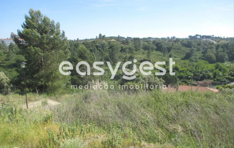 Terreno para Venda em São João Baptista e Santa Maria dos Olivais Foto 4