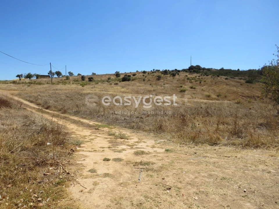 Terreno Agricola ou Rústico para Venda em Aljustrel e Rio de Moinhos Foto 3