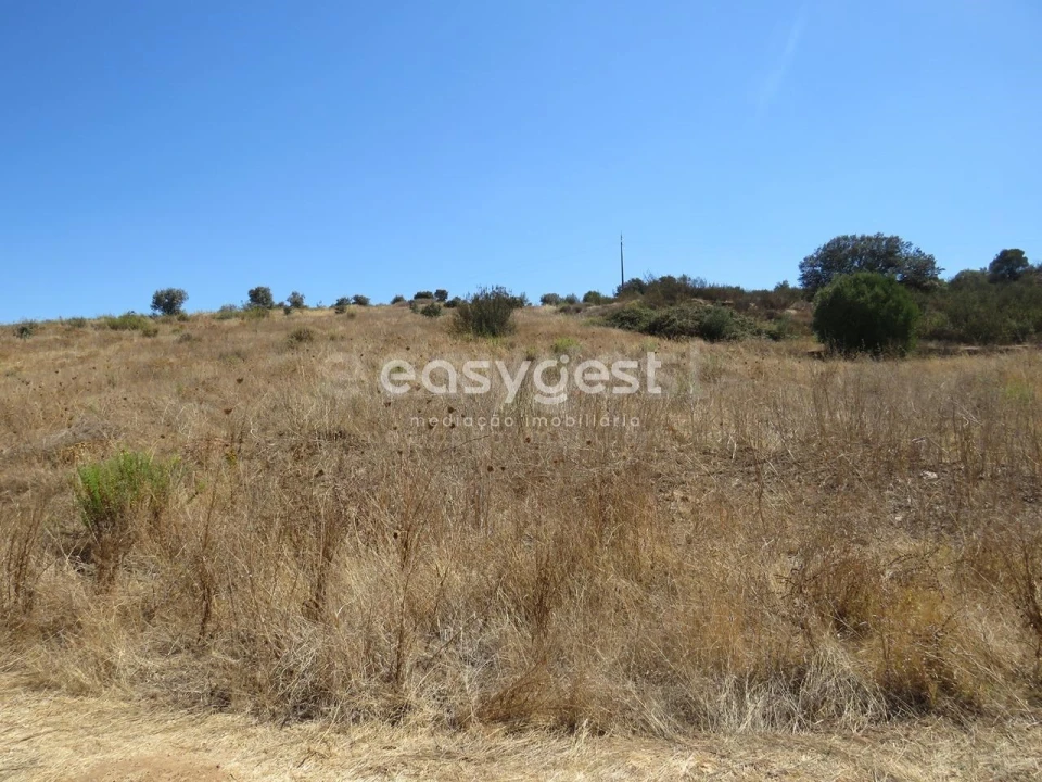 Terreno Agricola ou Rústico para Venda em Aljustrel e Rio de Moinhos Foto 10