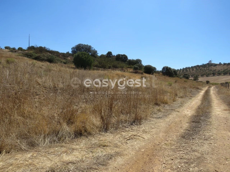 Terreno Agricola ou Rústico para Venda em Aljustrel e Rio de Moinhos Foto 11