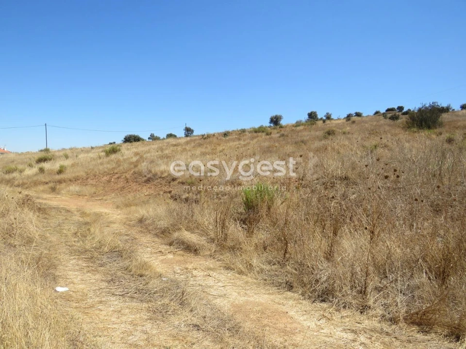 Terreno Agricola ou Rústico para Venda em Aljustrel e Rio de Moinhos Foto 15