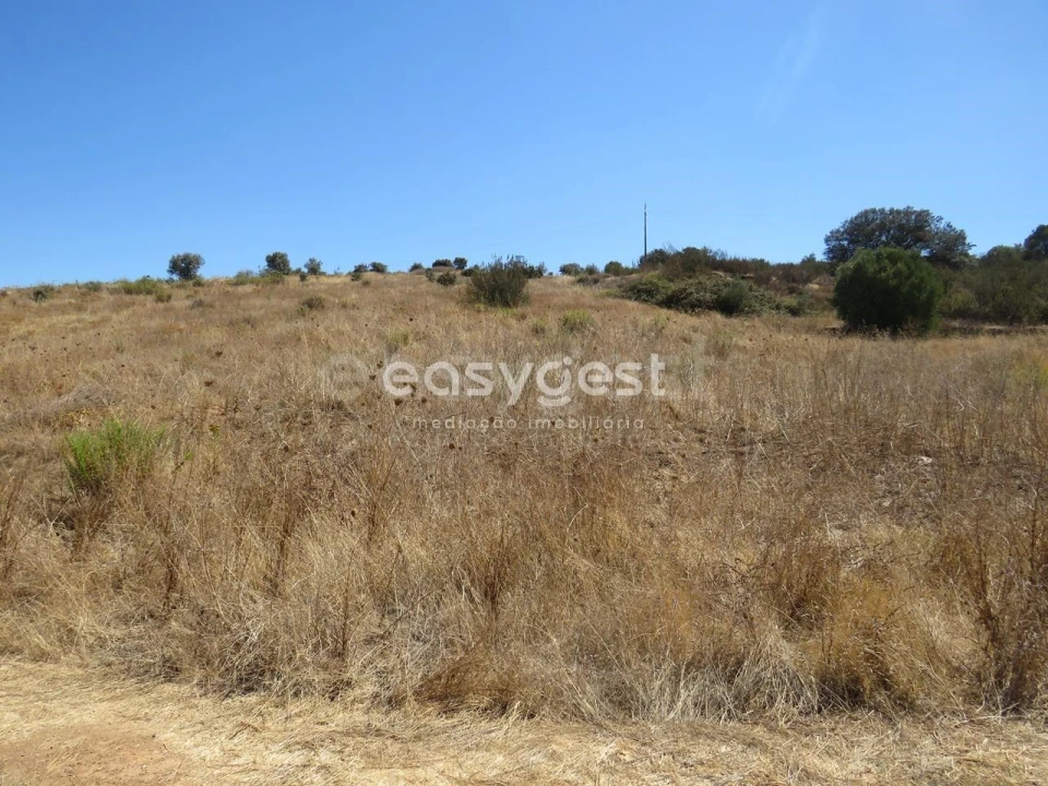 Terreno Agricola ou Rústico para Venda em Aljustrel e Rio de Moinhos Foto 16