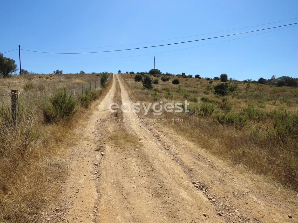 Terreno Agricola ou Rústico para Venda em Aljustrel e Rio de Moinhos Foto 19