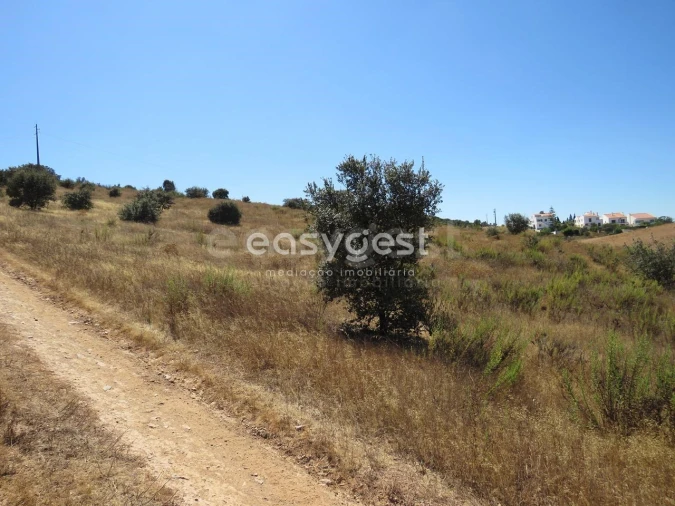Terreno Agricola ou Rústico para Venda em Aljustrel e Rio de Moinhos Foto 2