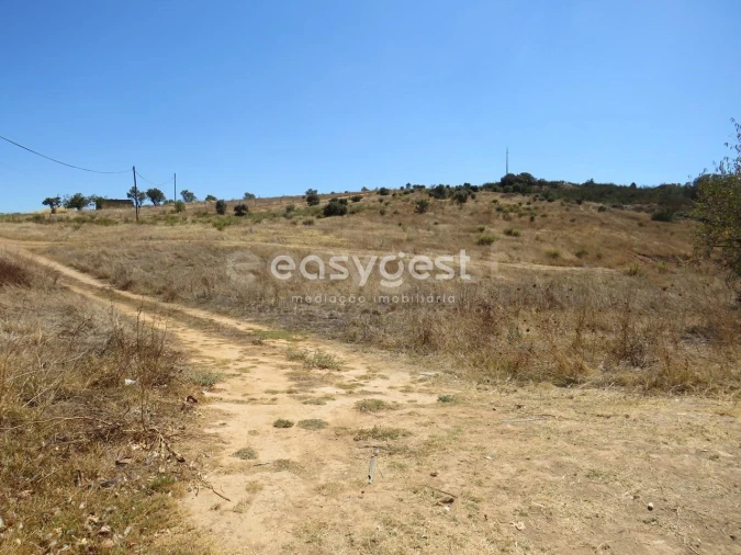 Terreno Agricola ou Rústico para Venda em Aljustrel e Rio de Moinhos Foto 3