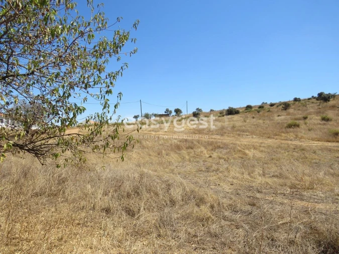 Terreno Agricola ou Rústico para Venda em Aljustrel e Rio de Moinhos Foto 6