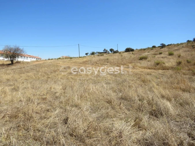 Terreno Agricola ou Rústico para Venda em Aljustrel e Rio de Moinhos Foto 8