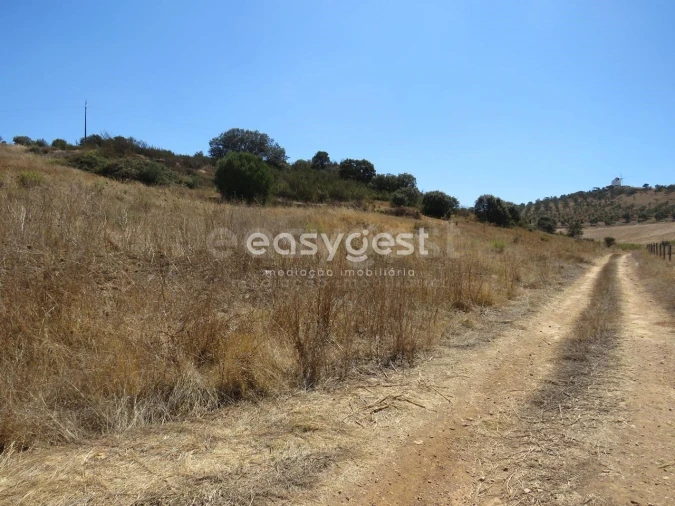 Terreno Agricola ou Rústico para Venda em Aljustrel e Rio de Moinhos Foto 11