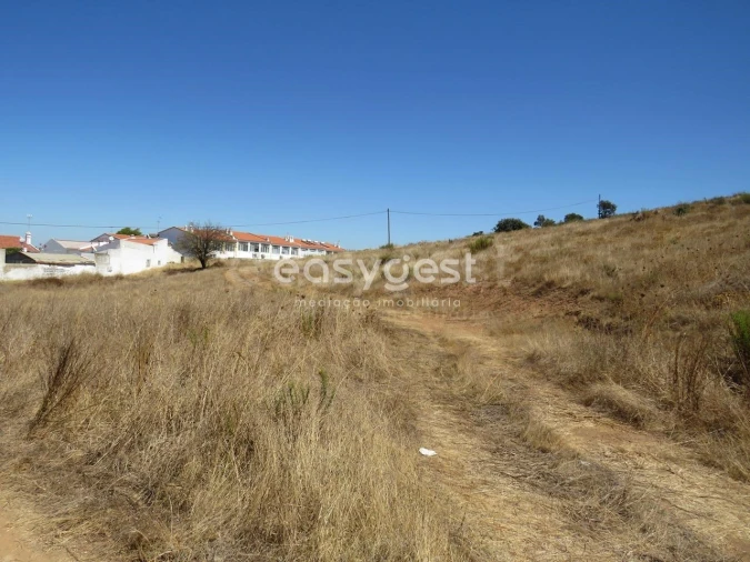 Terreno Agricola ou Rústico para Venda em Aljustrel e Rio de Moinhos Foto 14
