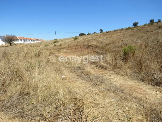Terreno Agricola ou Rústico para Venda em Aljustrel e Rio de Moinhos Foto 17