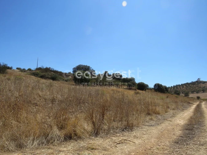 Terreno Agricola ou Rústico para Venda em Aljustrel e Rio de Moinhos Foto 18