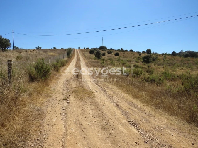 Terreno Agricola ou Rústico para Venda em Aljustrel e Rio de Moinhos Foto 19