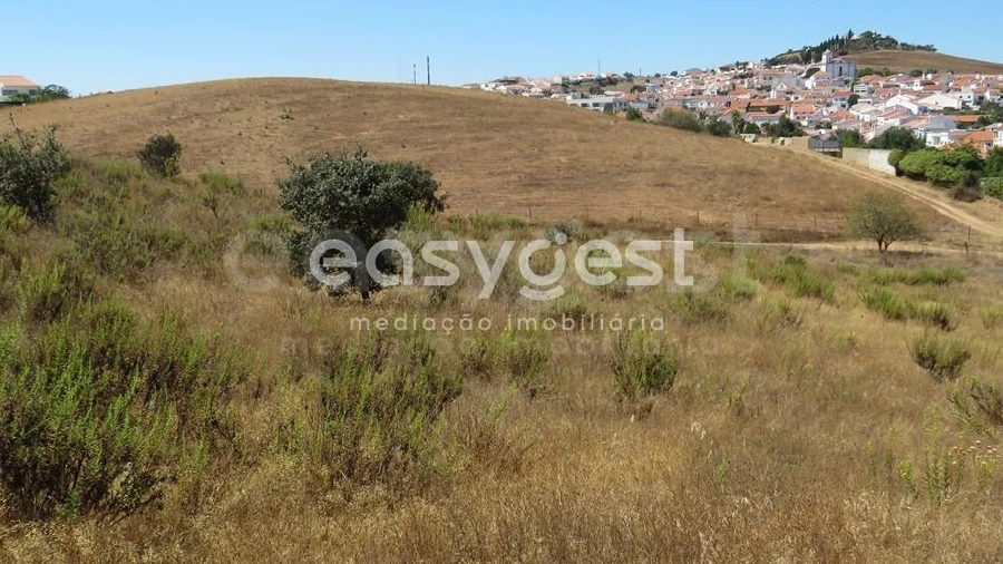Terreno Agricola ou Rústico para Venda em Aljustrel e Rio de Moinhos