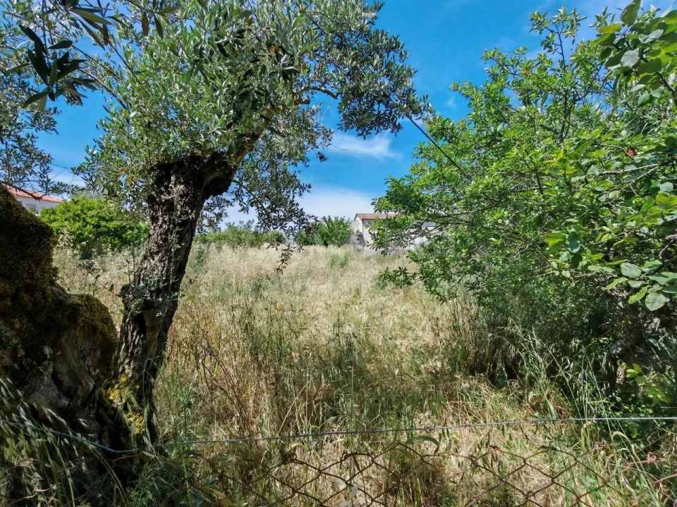 Terreno para Venda em Paialvo Foto 2