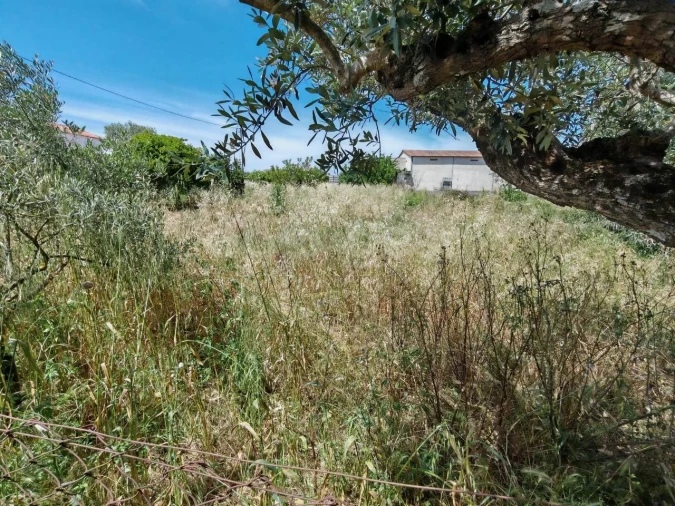 Terreno para Venda em Paialvo Foto 8