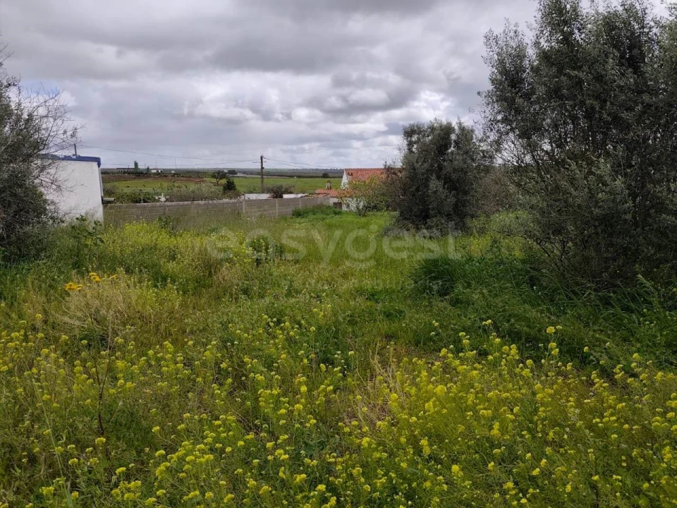 Terreno para Venda em São João de Negrilhos Foto 12