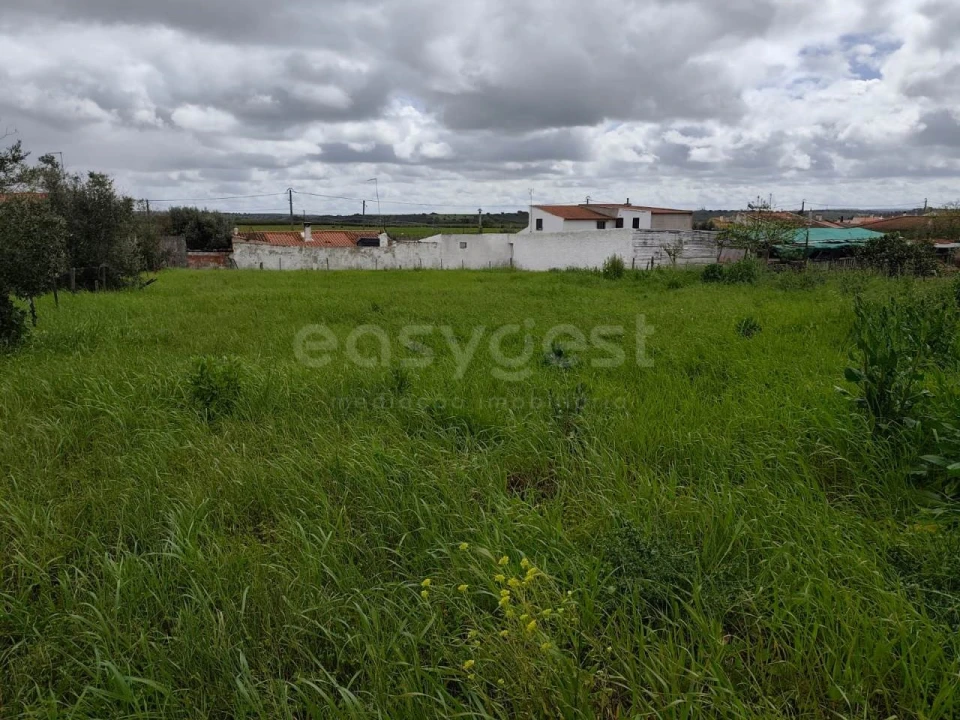 Terreno para Venda em São João de Negrilhos Foto 14