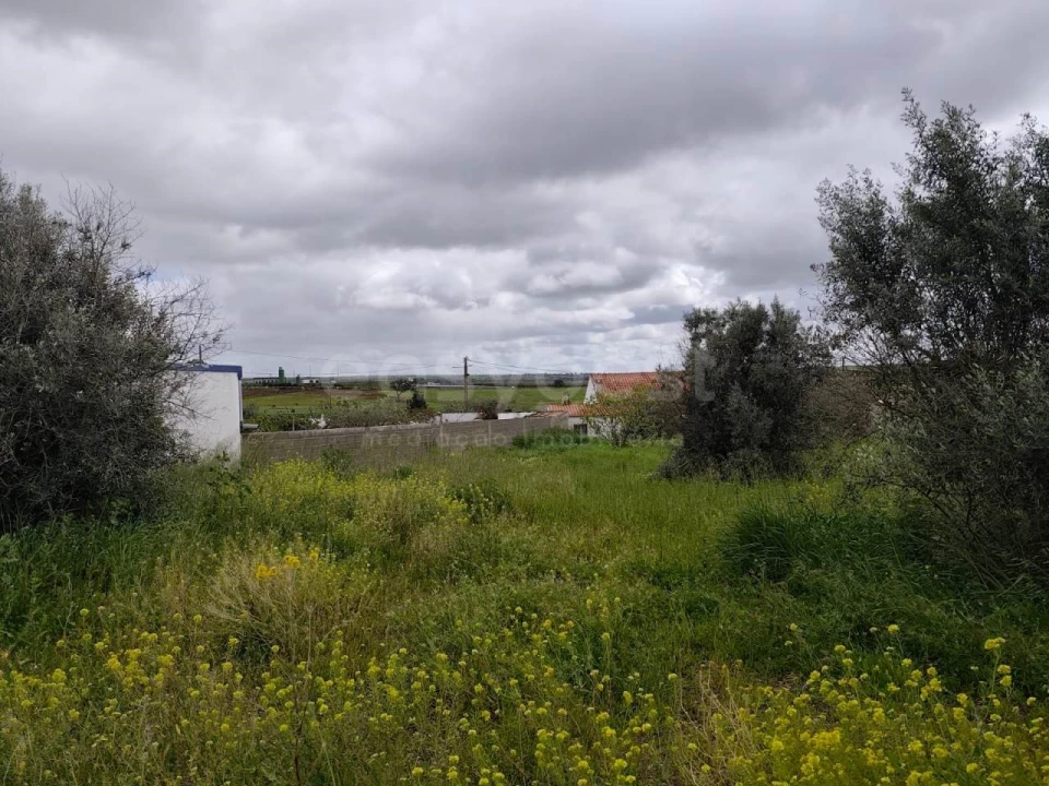 Terreno para Venda em São João de Negrilhos Foto 17