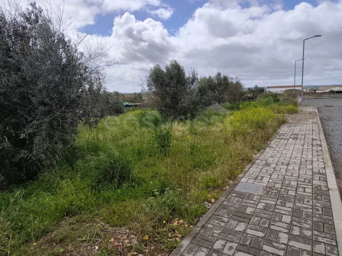 Terreno para Venda em São João de Negrilhos Foto 5