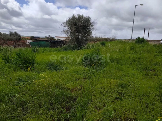 Terreno para Venda em São João de Negrilhos Foto 13
