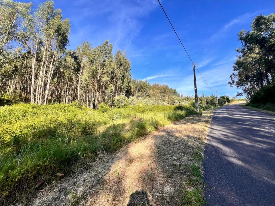 Terreno para Venda em Beco Foto 2