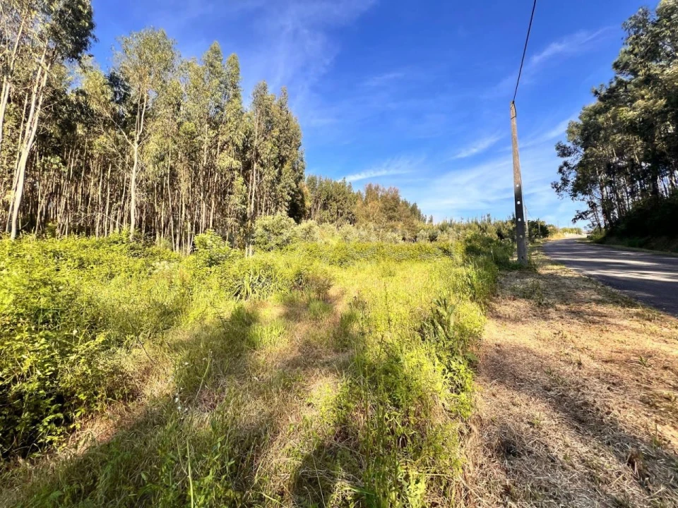 Terreno para Venda em Beco Foto 11