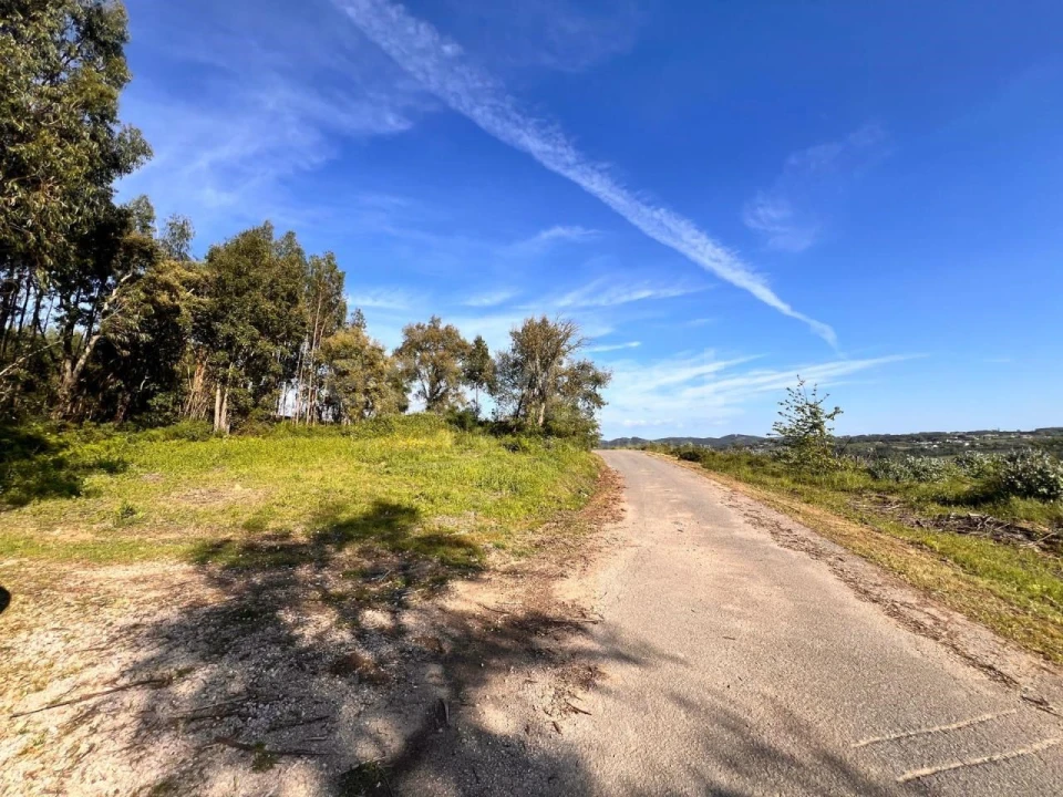 Terreno para Venda em Beco Foto 13