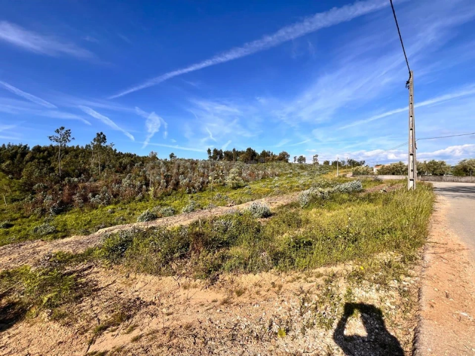Terreno para Venda em Beco Foto 26