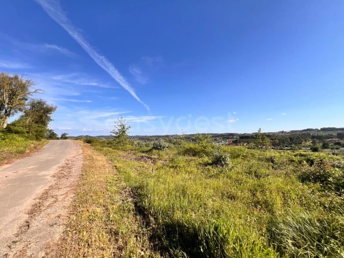 Terreno para Venda em Beco Foto 16