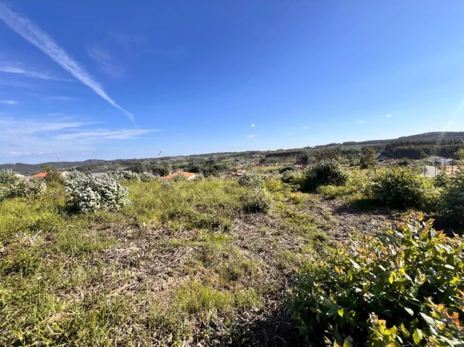 Terreno para Venda em Beco Foto 17