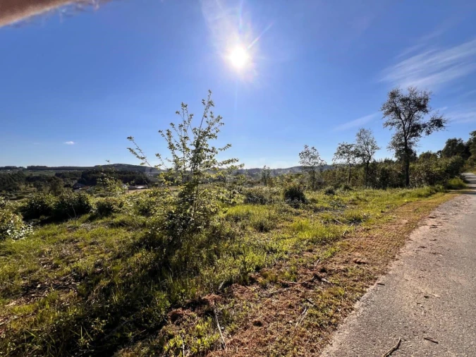 Terreno para Venda em Beco Foto 25