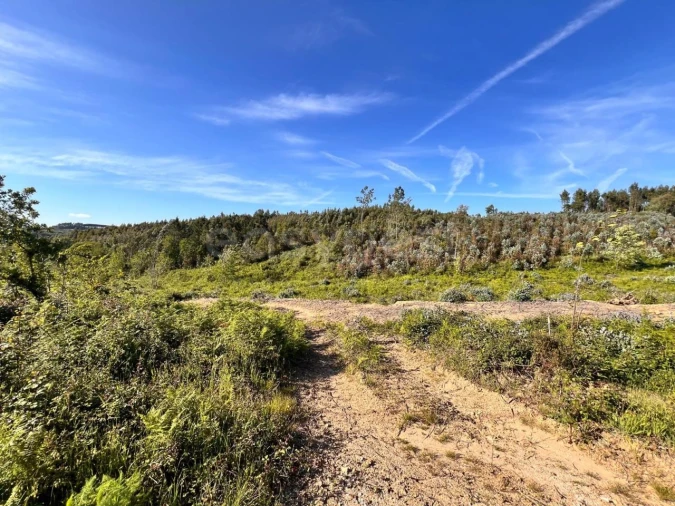 Terreno para Venda em Beco Foto 27