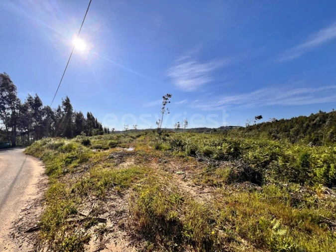 Terreno para Venda em Beco Foto 28