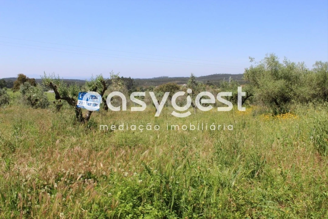 Terreno para Venda em Olalhas Foto 2