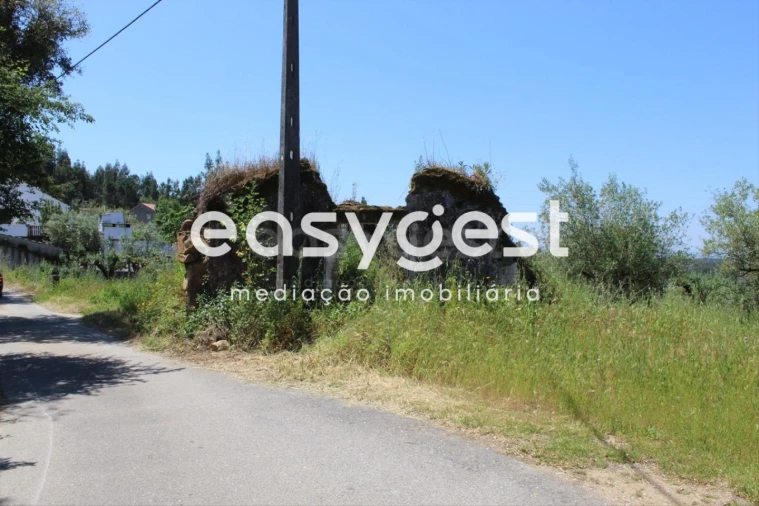 Terreno para Venda em Olalhas