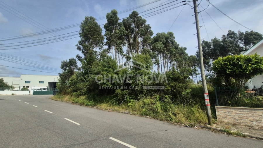 Terreno Agricola ou Rústico para Venda em Esmoriz Foto 8