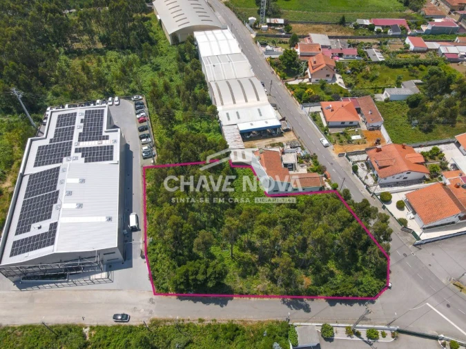 Terreno Agricola ou Rústico para Venda em Esmoriz Foto 2