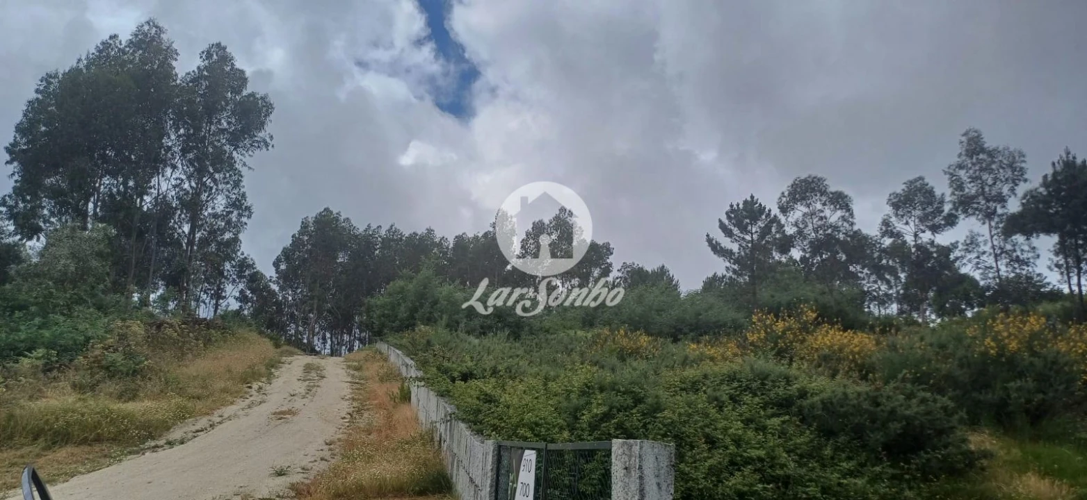 Terreno Agricola ou Rústico para Venda em Carvalhosa Foto 3