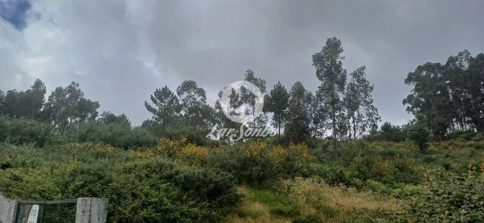 Terreno Agricola ou Rústico para Venda em Carvalhosa Foto 4