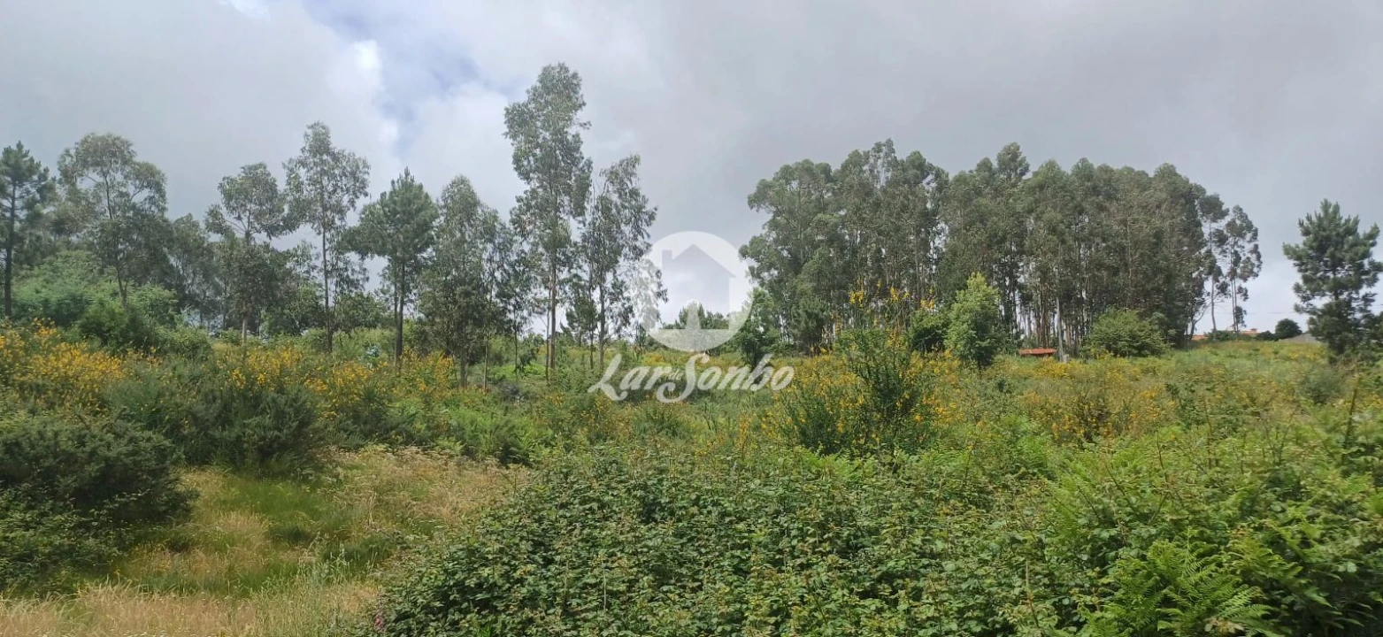 Terreno Agricola ou Rústico para Venda em Carvalhosa Foto 6